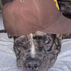 Meet your Posher, Tim